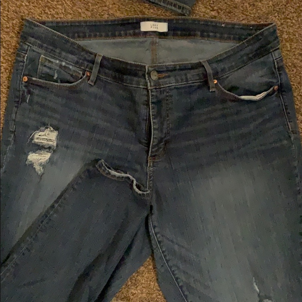 Loft plus ankle length jeans